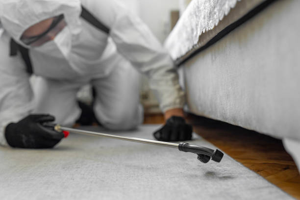 Professional Bed Bug Control technician working in Ripley County County, IN